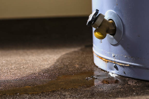 Best Water damage restoration near me  in Sarasota, FL