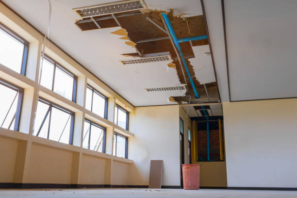 Best Sewage cleanup and water damage restoration  in Sarasota, FL