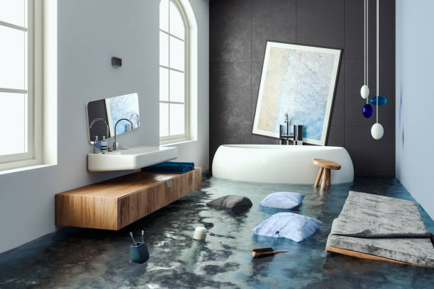 Best Basement water damage restoration  in Sarasota, FL