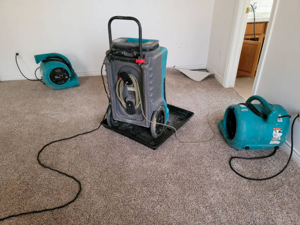 Best Ceiling water damage repair  in Sarasota, FL