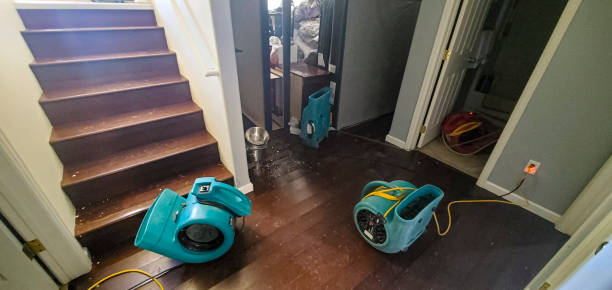 Best Water damage restoration insurance claims  in Sarasota, FL