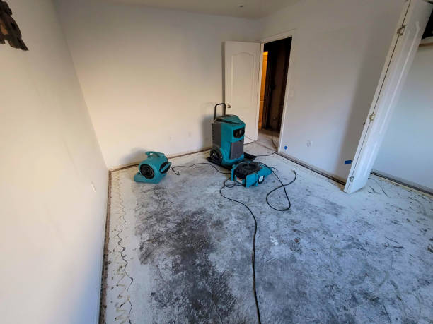 Best Local water damage restoration  in Sarasota, FL