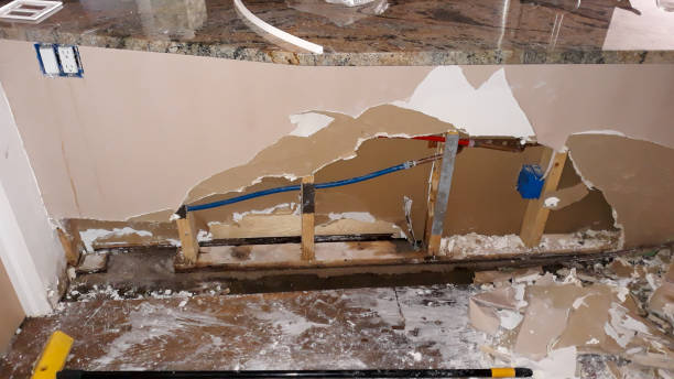 Best Water damage cleanup near me  in Sarasota, FL