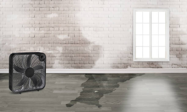 Best Fire Damage Restoration  in Sarasota, FL