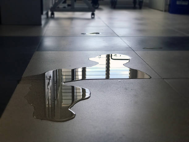 Professional Water damage restoration in Sarasota, FL
