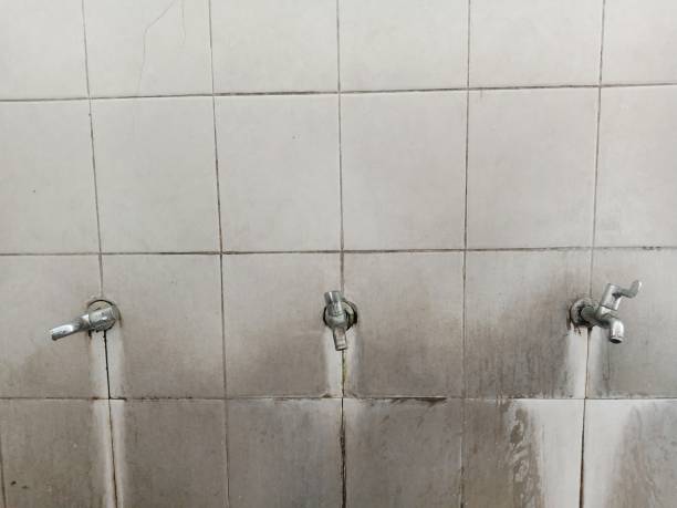 Best Sewage cleanup and water damage restoration  in Sarasota, FL