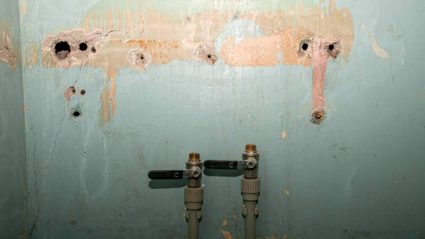 Best Flood restoration services  in Sarasota, FL