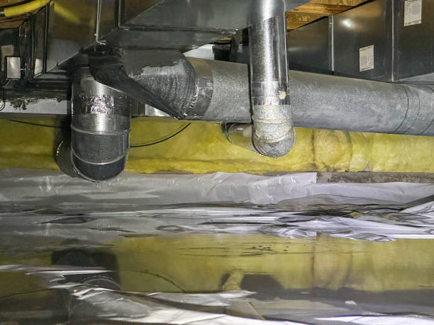 Best Water damage restoration near me  in Sarasota, FL