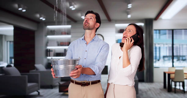 Best Ceiling water damage repair  in Sarasota, FL