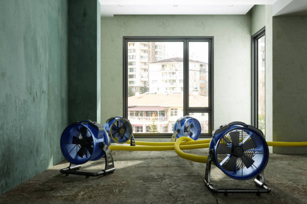  Sarasota, FL Water damage restoration Pros