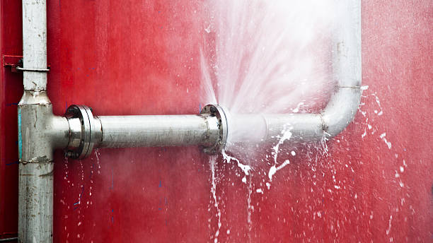 Best Flooded house restoration  in Sarasota, FL